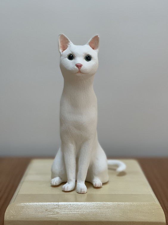 ドラえもんのドラは ドラ猫 保健所犬猫応援団