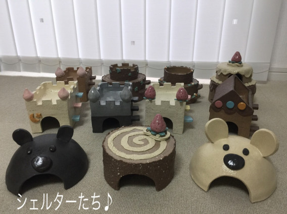 レプタイルズフィーバー16 だらりんショップ レプタイルズフィーバー16 だらりんショップ