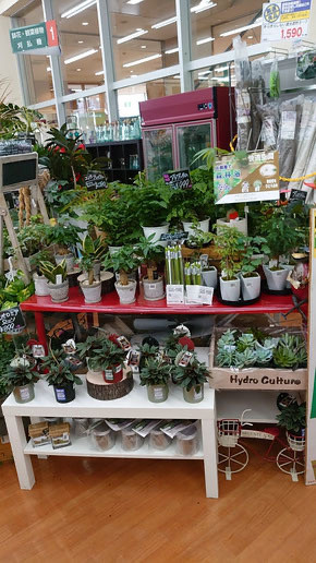 各店舗紹介 水芳園芸 各店舗紹介 水芳園芸