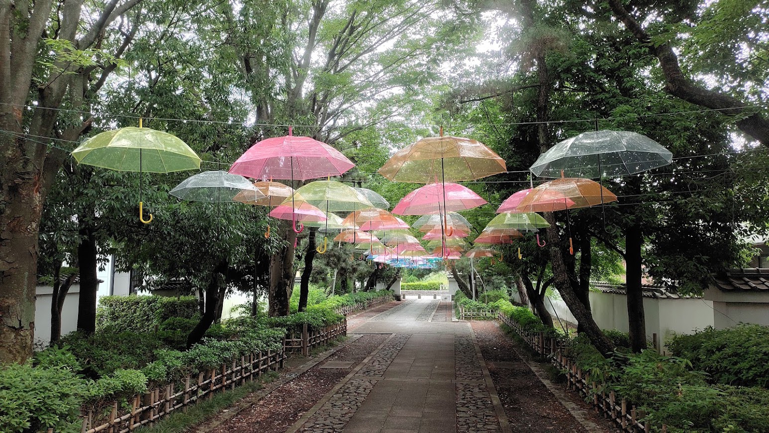 雨傘日和 | エコ・プランニング