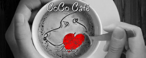 ドッグカフェの写真