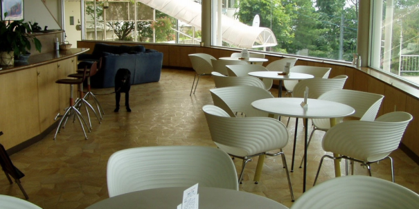 Cafe 長野市 ドッグカフェ ドッグフード Heart2 Dog ハーツドッグ 愛犬との暮らしをサポートします Cafe 長野市 ドッグカフェ ドッグフード Heart2 Dog ハーツドッグ 愛犬との暮らしをサポートします