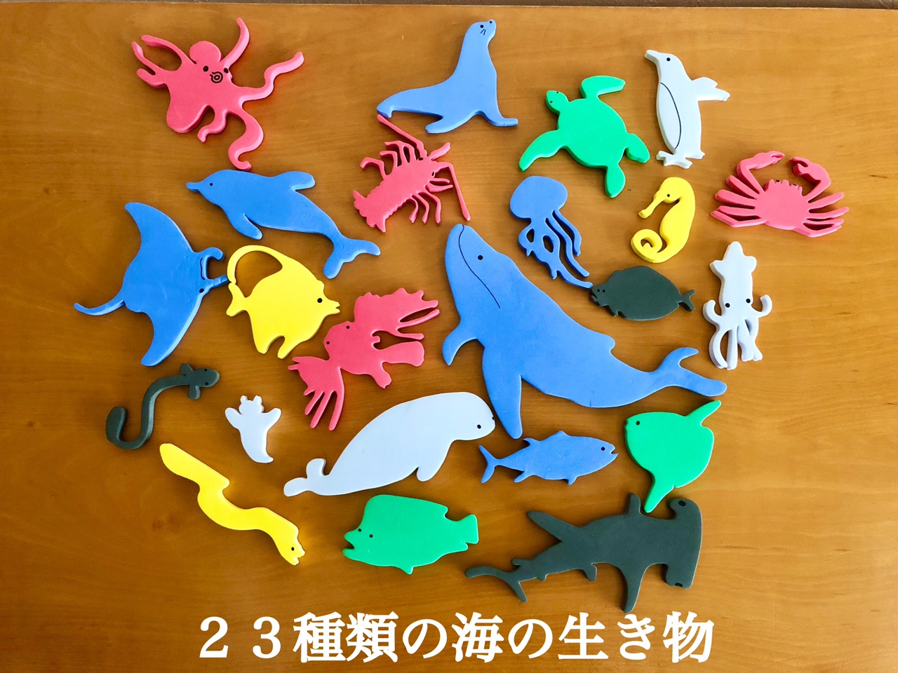 ベビージム 海の生き物 デザイン ライト付き