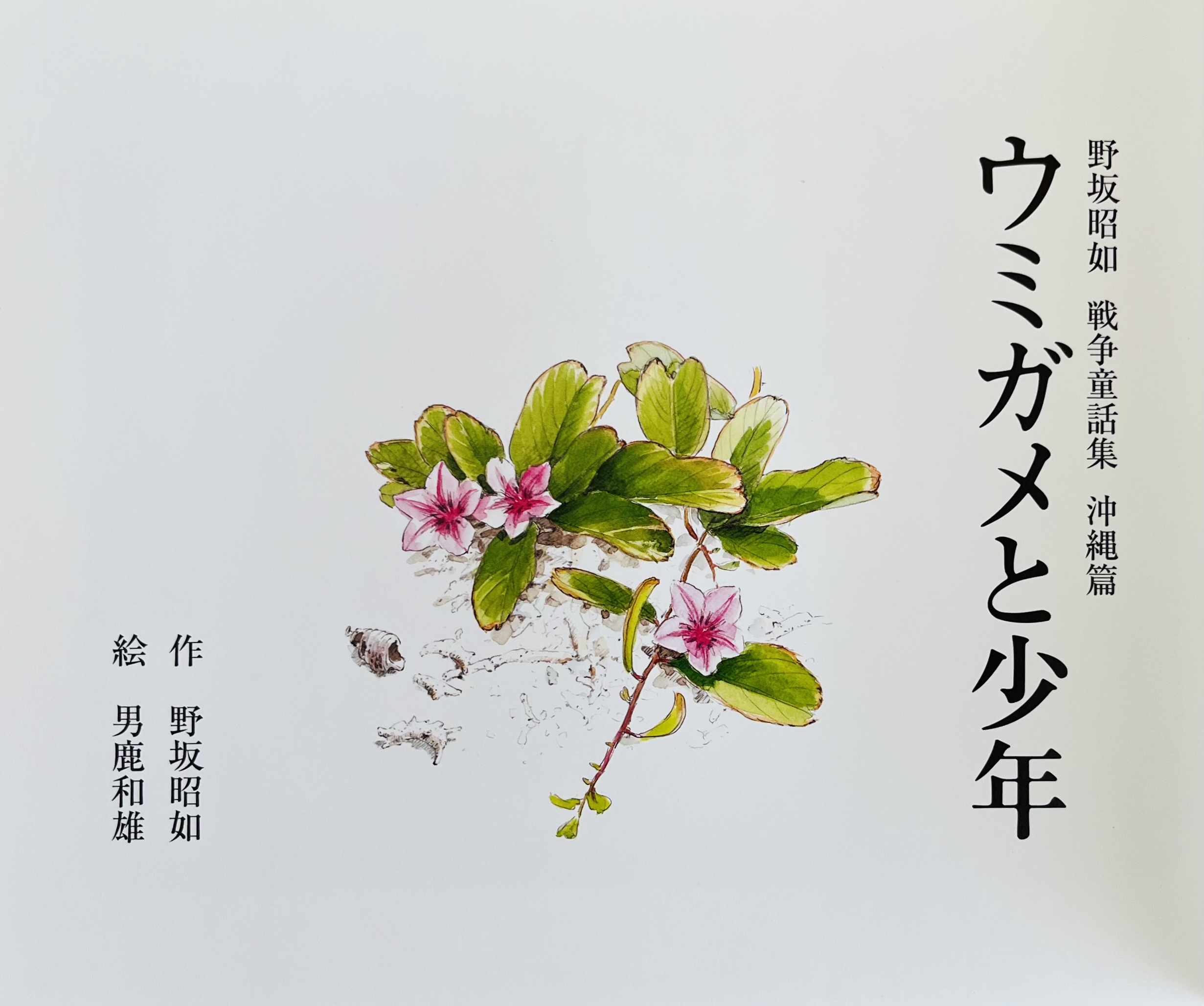 絵本『ウミガメと少年』 | Baby教室シオ