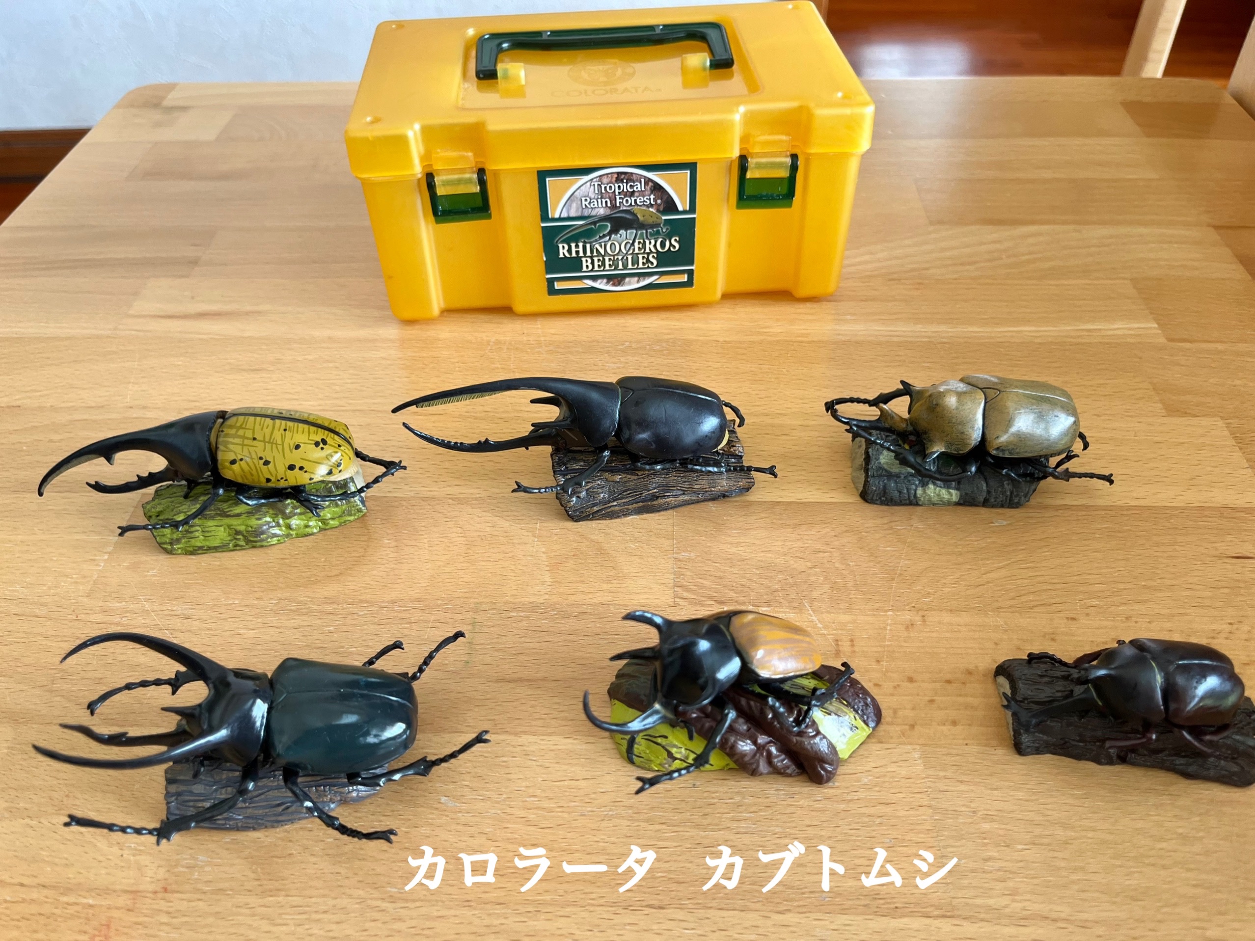 おもちゃ『カロラータ カブトムシ』 | Baby教室シオ