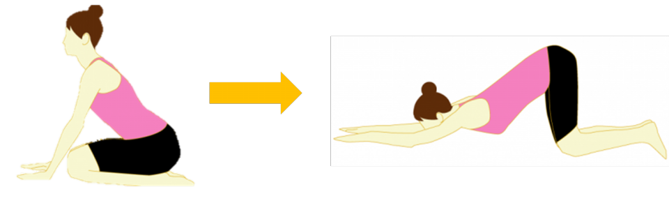 第一弾 ヨガ 猫のポーズ 猫の伸びのポーズ 鴨川高野コース Dwcla Public Health Nutrition 第一弾 ヨガ 猫のポーズ 猫の伸びのポーズ 鴨川高野コース Dwcla Public Health Nutrition