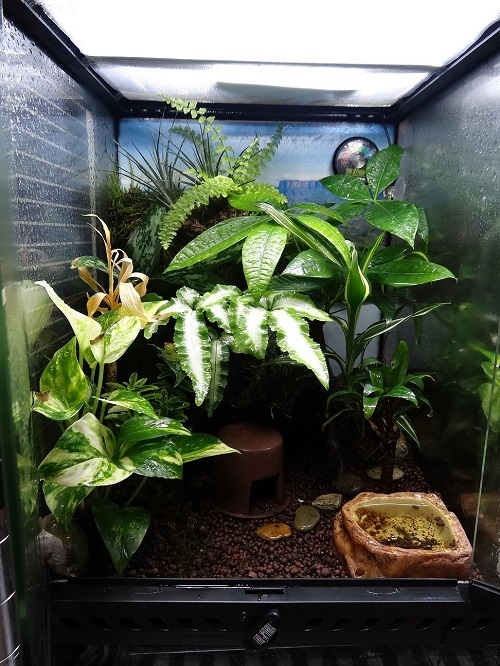 Photo1 | NORTH VIVARIUM