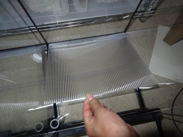 Create North Vivarium Create North Vivarium