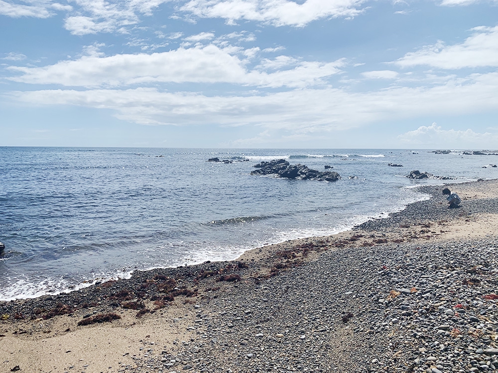 受注品：襤褸さま専用　自作・手造り◆流木額縁　2点 受注品：襤褸さま専用 自作・手造り◇流木額縁 2点 受注品：襤褸さま