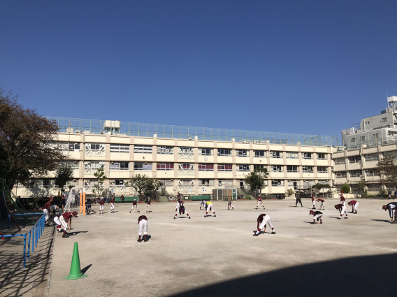 11 3 通常練習 中目黒小学校 目黒ピータース 小学部