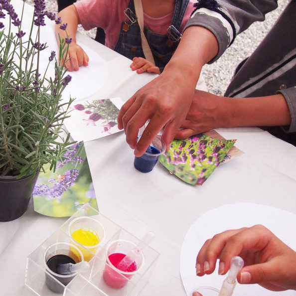 しらいマルシェレポートpart2 ラベンダーの色と香りが広がりました ヒラメキのタネ