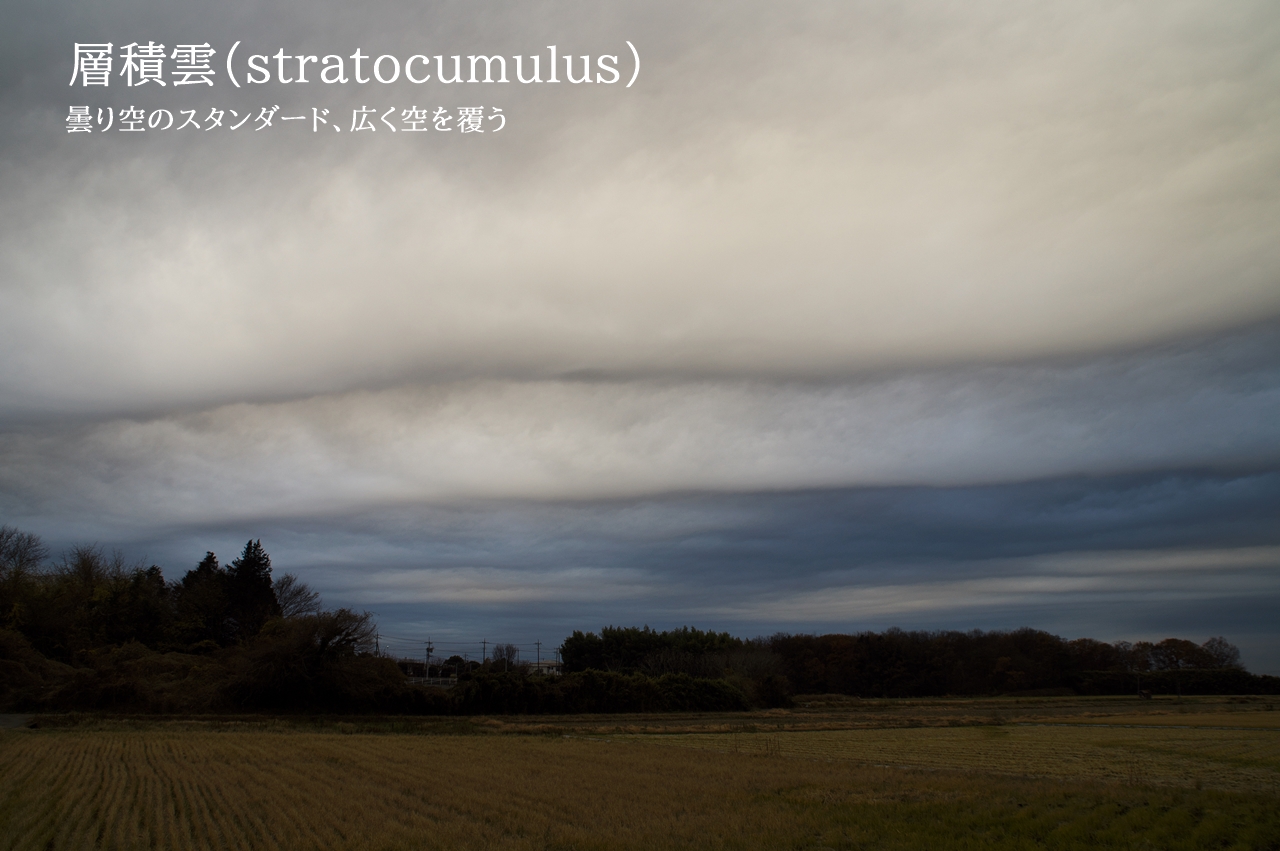 層積雲 ヤバい雲図鑑 Dangerous Cloud Picture Book