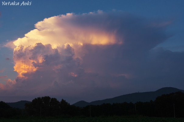 かなとこ雲 ヤバい雲図鑑