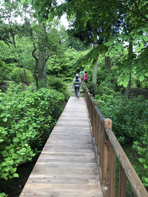 英語の勉強は 山を下ること たむらイングリッシュルーム