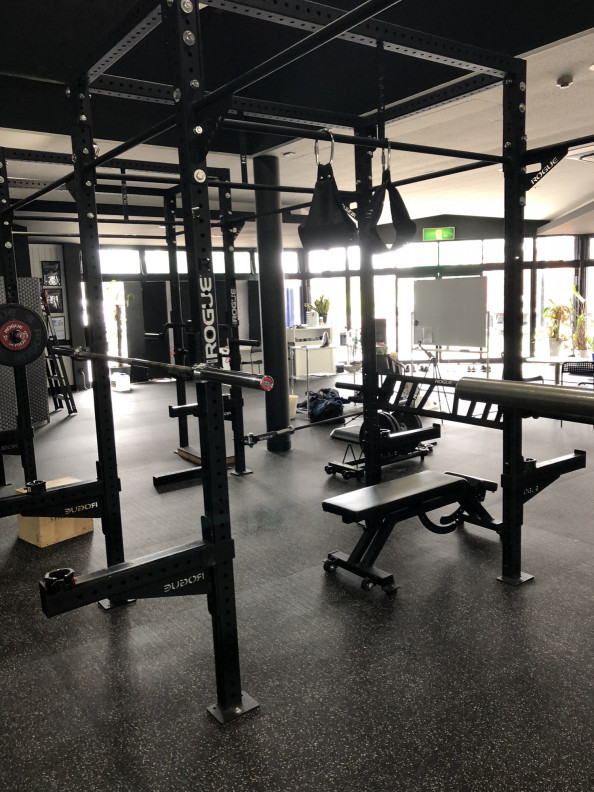 エバーリフト遠征 T Rex Gym