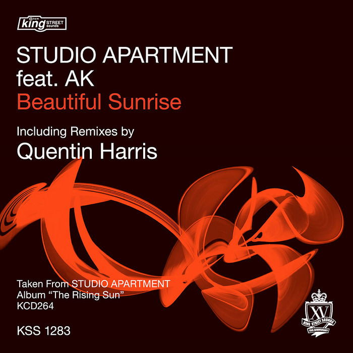 ⭐︎レア盤⭐︎STUDIO APARTMENT / Remix works EP Studio Apartment – Remix Works EP – Vinyl (12