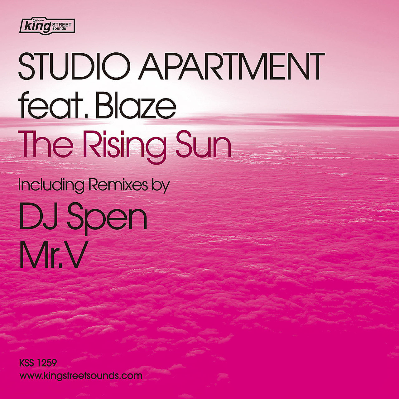 ⭐︎レア盤⭐︎STUDIO APARTMENT / Remix works EP Studio Apartment – Remix Works EP – Vinyl (12