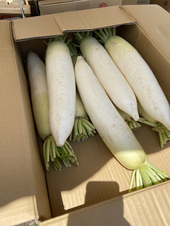 野菜詰め放題一部をご紹介します Behappyあべの