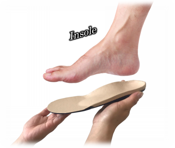 INSOLE | VITAL-FUSS-KOCHI バイタルフス高知 INSOLE | VITAL-FUSS-KOCHI バイタルフス高知