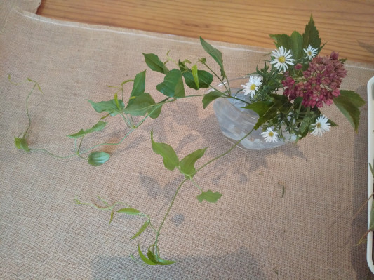 Mokumokuお花の会のご案内 Mokumoku Kyoto